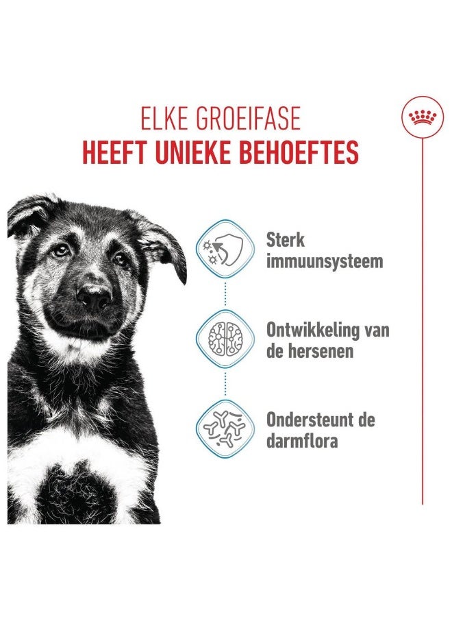 رويال كانين اكل جاف ماكسي بوبي للكلاب الصغيرة 15 كجم - Image 3